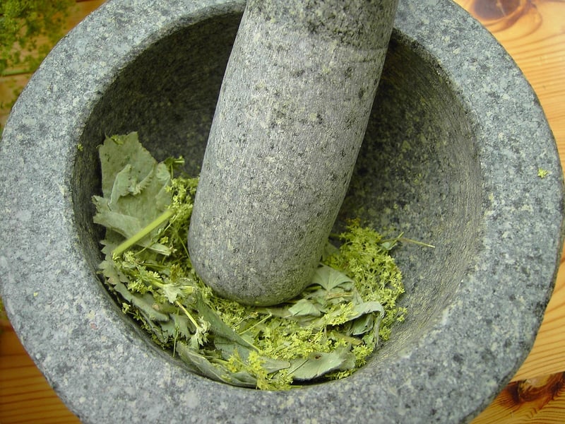 Alchemy of Flora